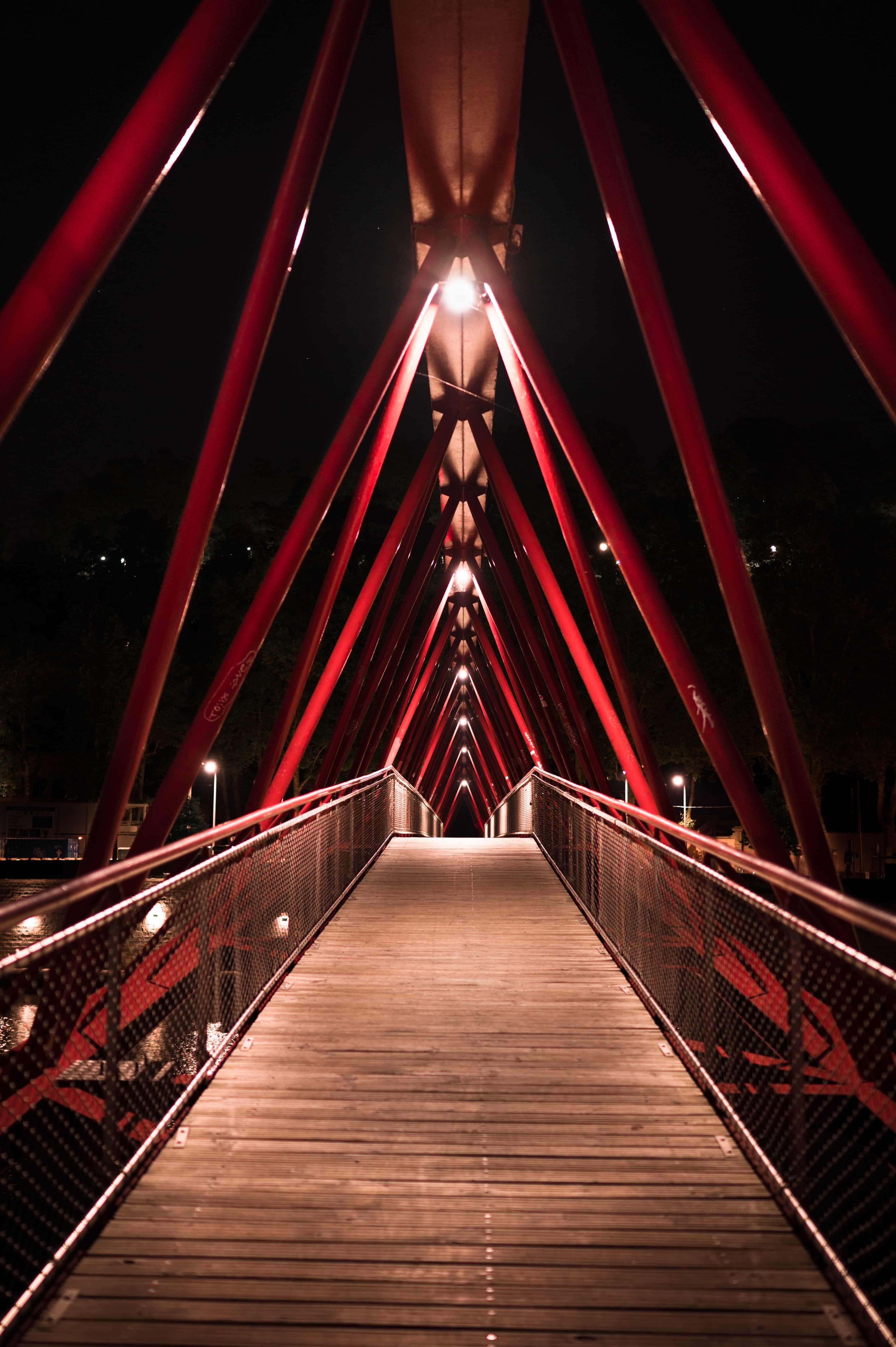 La passerelle Saint-Vincent traversant la Saône à Lyon